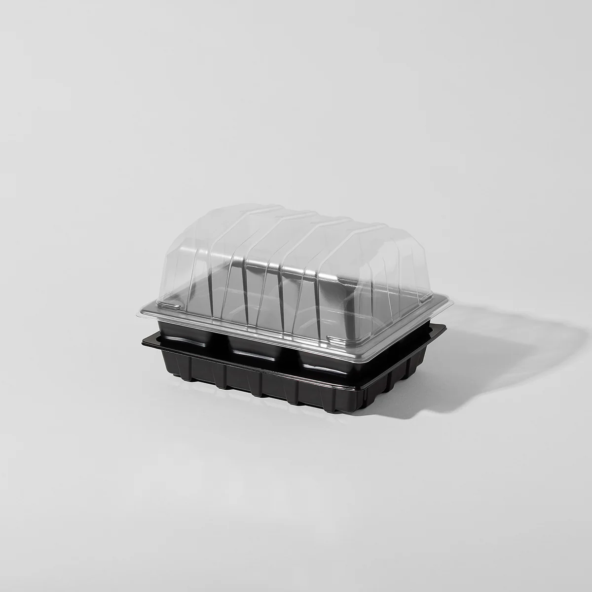 Extra Seed Tray ~ "THE SPROUT FACTORY" - Image 3