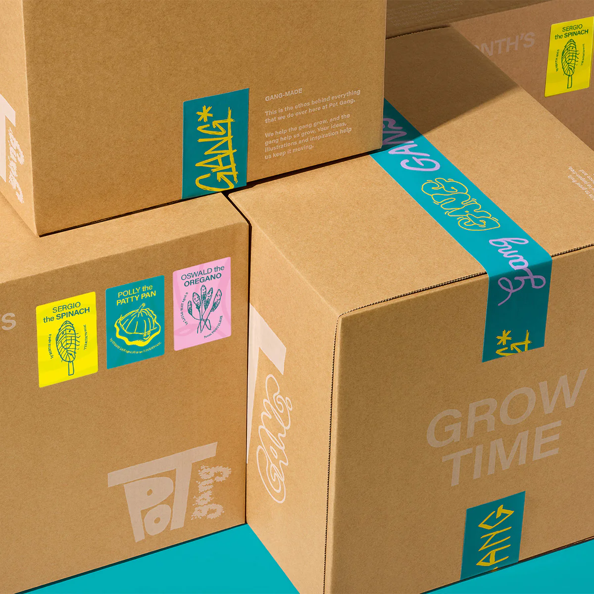 GIFT SUBSCRIPTION - Image 11