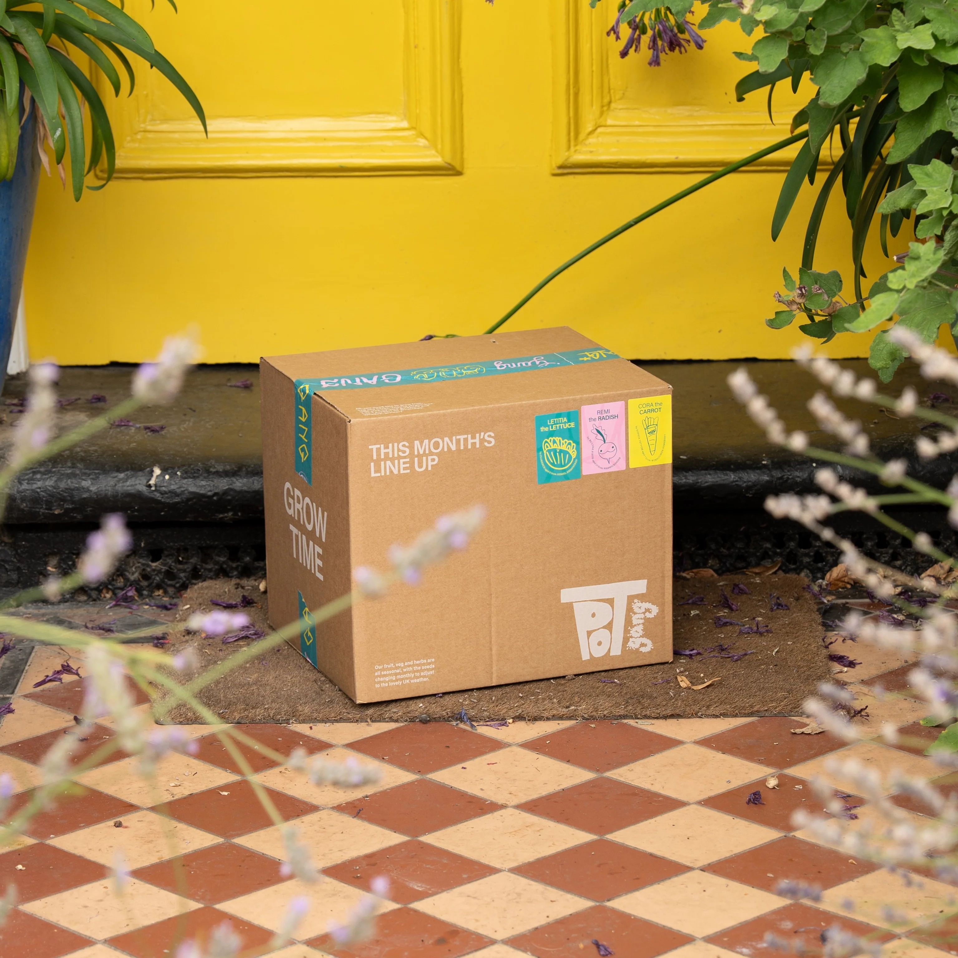 GIFT SUBSCRIPTION - Image 15