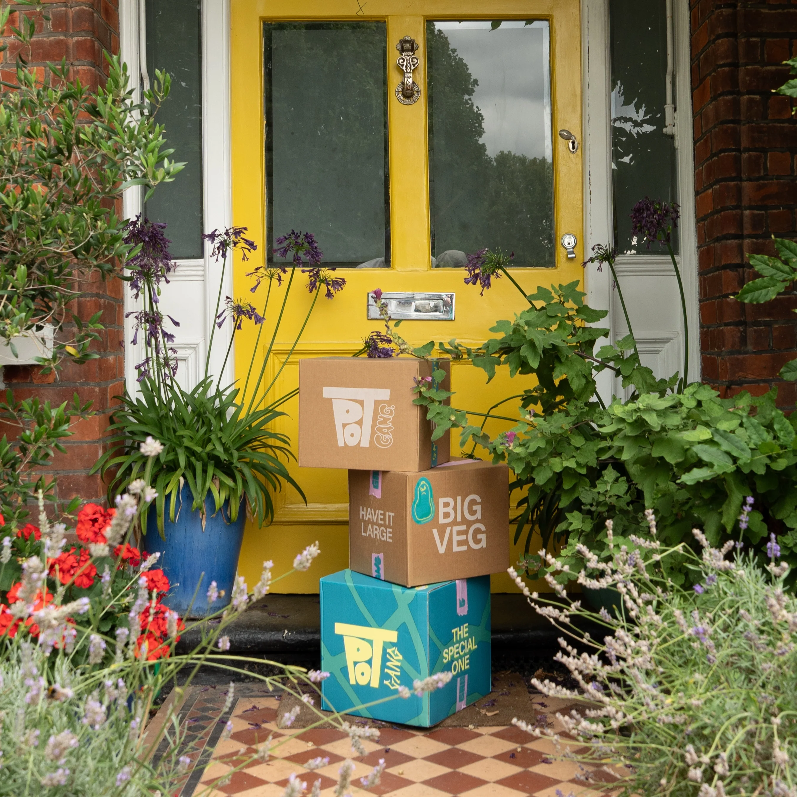 GIFT SUBSCRIPTION - Image 14