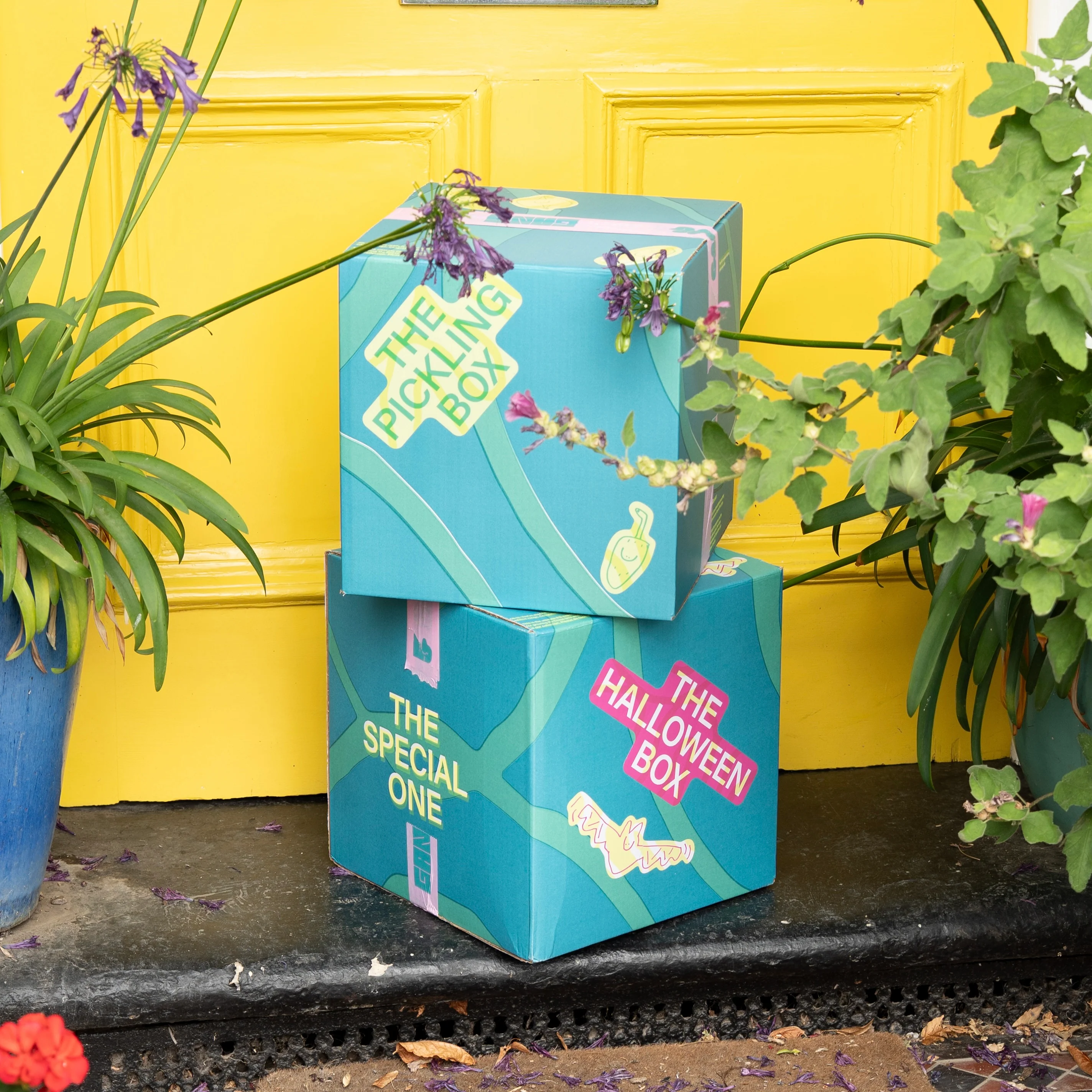 Special Edition: The Halloween Box - Image 7