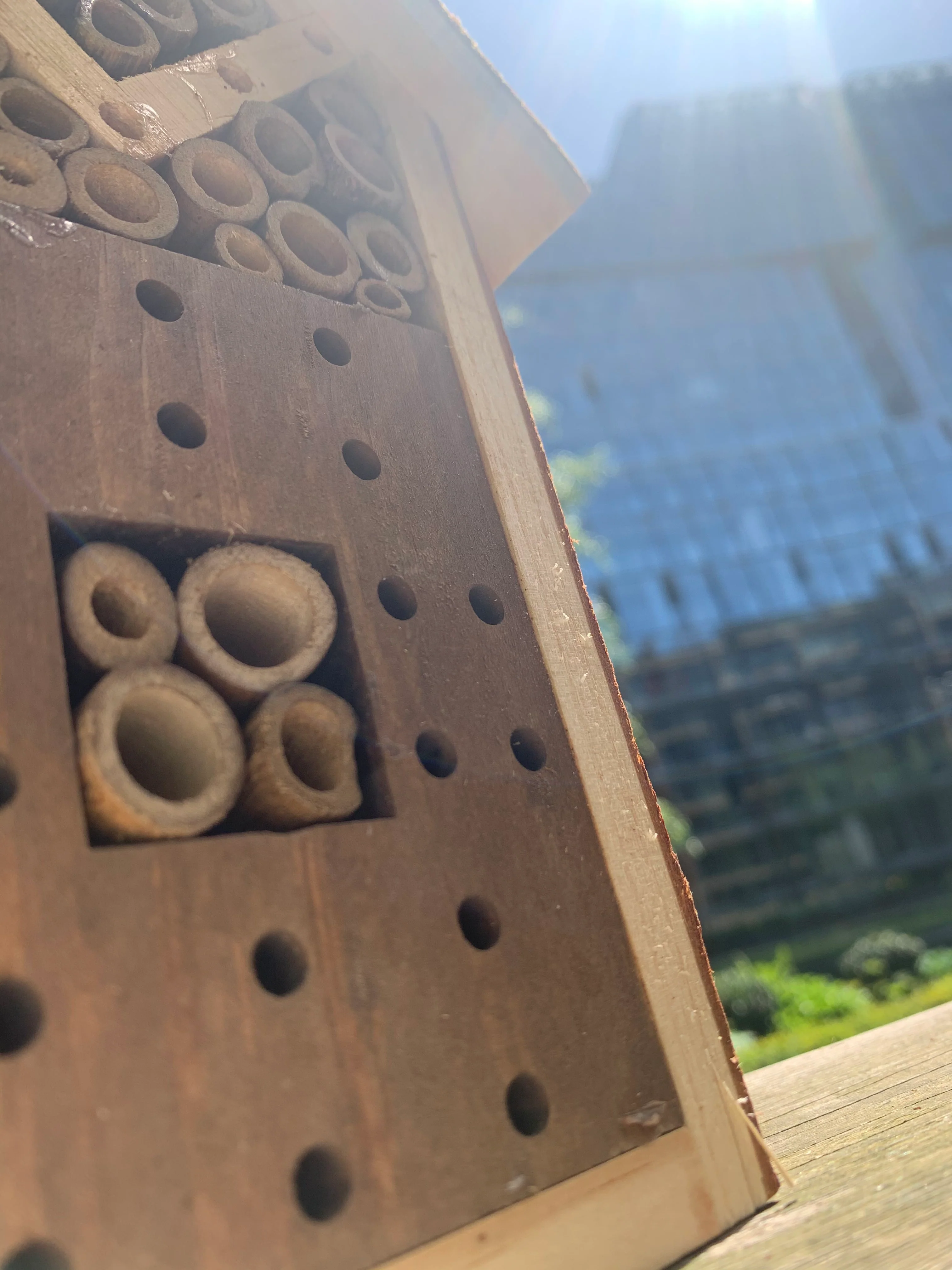 Small Insect House ~ "BUG B&B" - Image 3